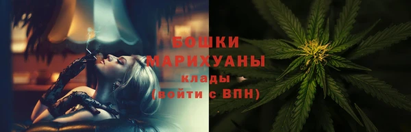 шишки Алзамай