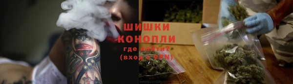 шишки Алзамай