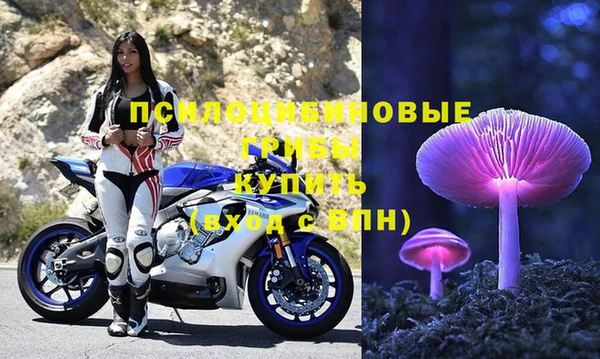 стаф Алексин