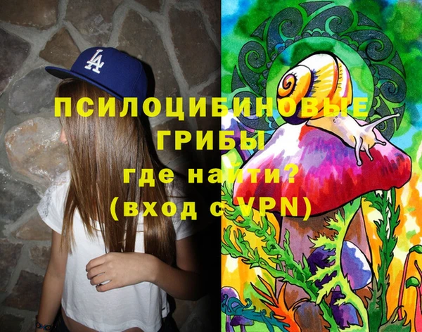 шишки Алзамай