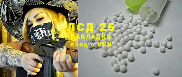 шишки Алзамай